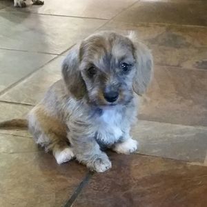 Meet your Posher, Denise